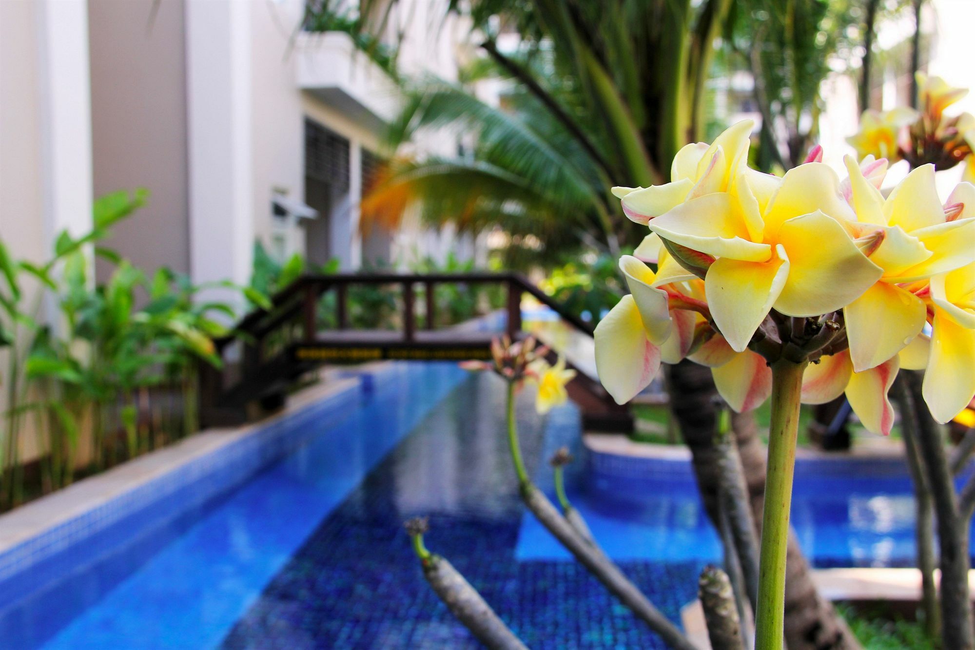 Bali Hotel Phnom Penh Exterior foto